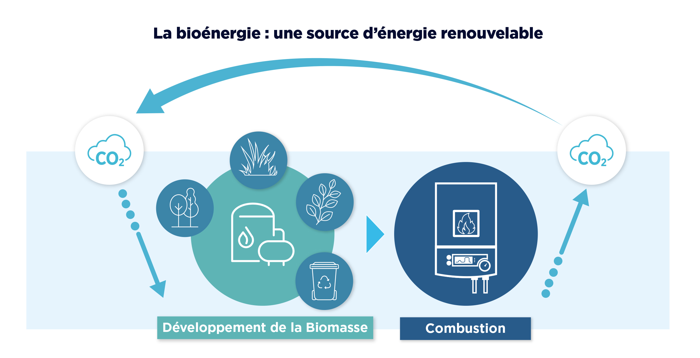 bioenergy