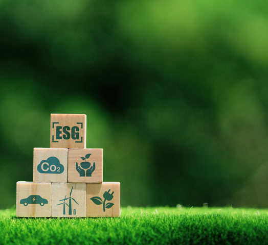 ESG Sector