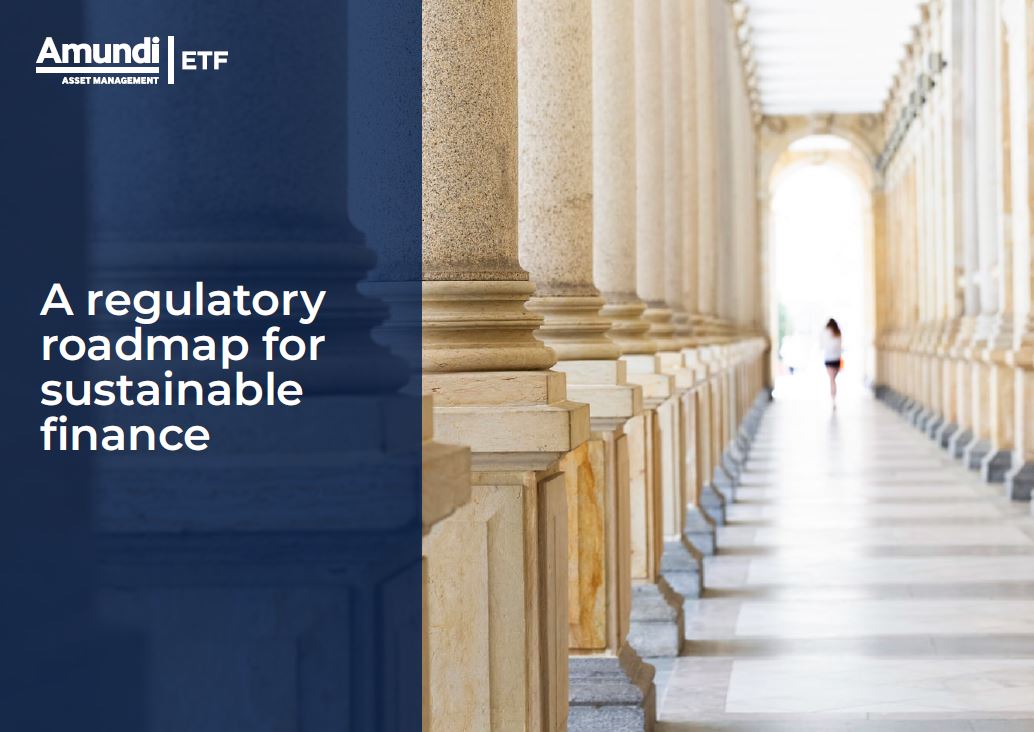 Turtl link - Roadmap